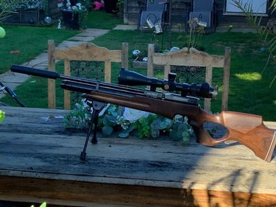 Weihrauch 100x Weihrach walnut 100x .22
