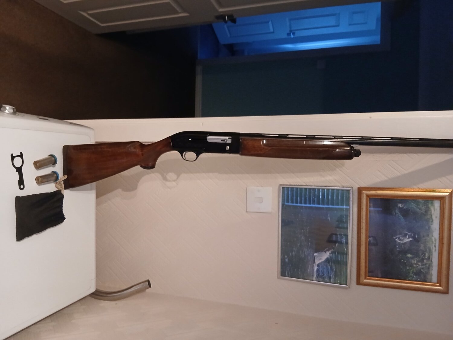  Beretta shotgun Semi-Auto 12 Bore/gauge