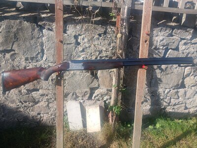 Miroku 6000 SP5 Over and Under 12 Bore/gauge