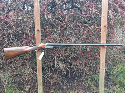 Joseph Lang BLE Side By Side 12 Bore/gauge