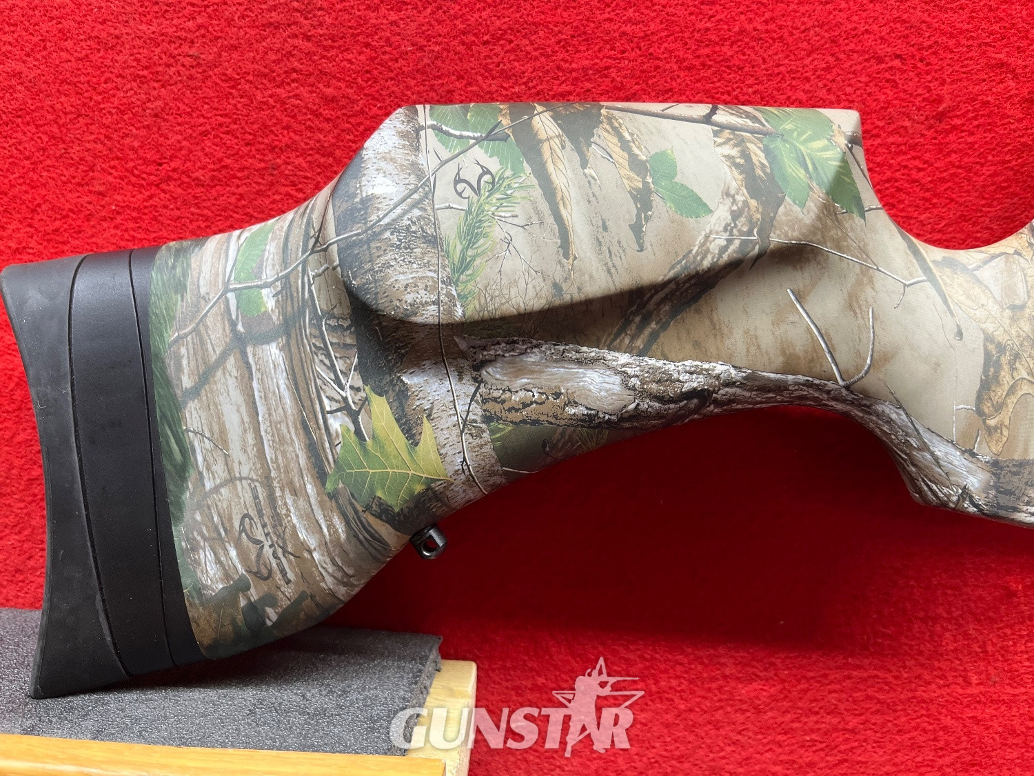 BSA R10 Camo .22 in 