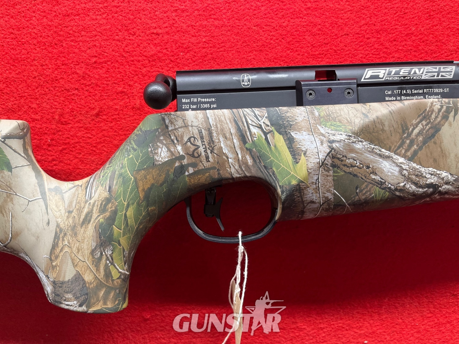 BSA R10 Camo .22