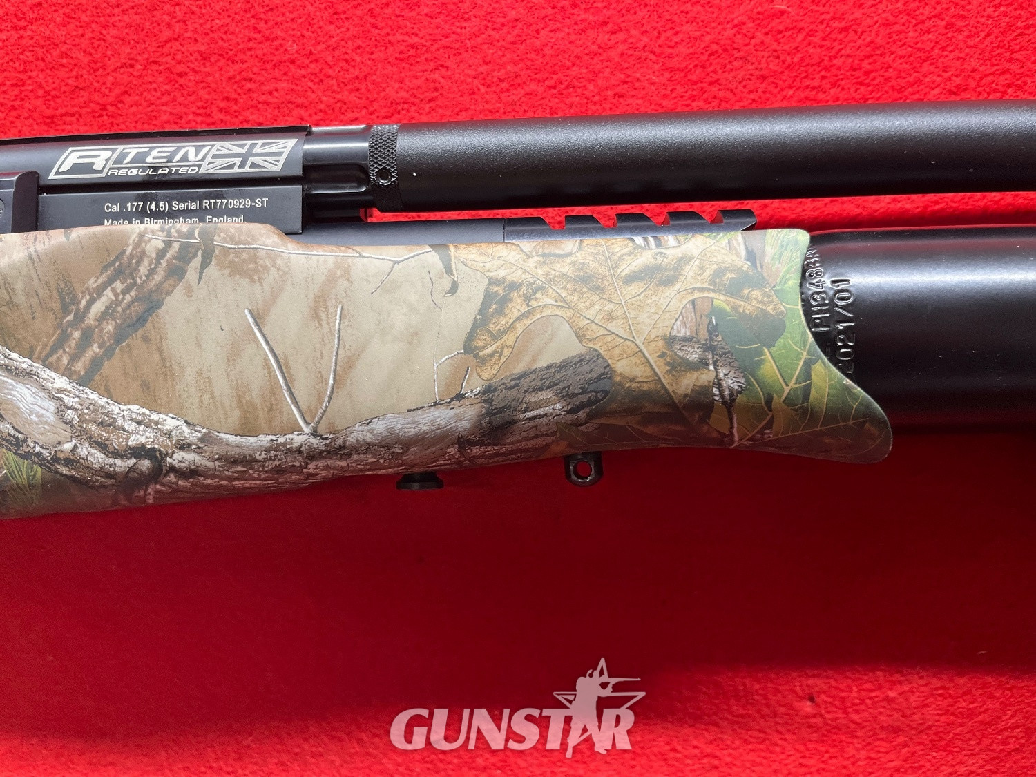  BSA R10 Camo .22
