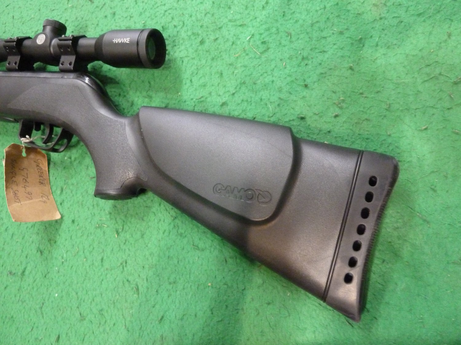 Gamo Whisper Sting .22 - {CATEGORY} in 