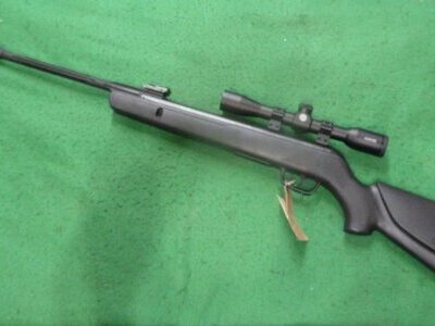 Gamo Whisper Sting .22