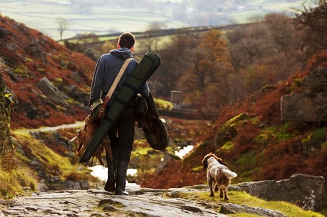 Kennel Club Accused of Allowing Trainers to Abuse Gun Dogs