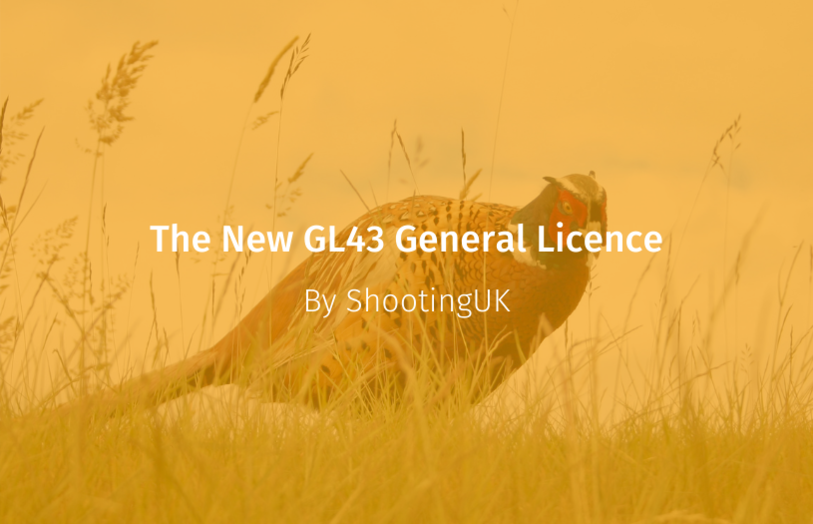 The New GL43 General Licence
