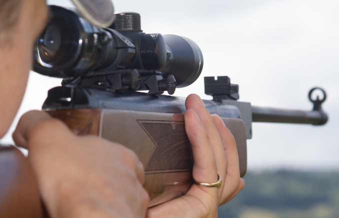 Best air rifles for pest control